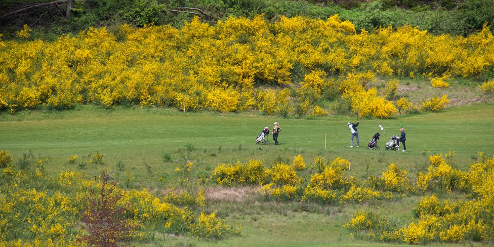Das Programm Golf & Natur des Deutschen Golf Verbandes dient dem Qualitätsmanagement auf Golfanlagen und befasst sich mit den vier Kernpunkten „Natur und Landschaft“, „Pflege und Spielbetrieb“, „Arbeitssicherheit und Umweltmanagement“ sowie „Öffentlichkeitsarbeit und Infrastruktur“. Für den Golfpark Weiherhof ist es ein wesentliches Instrument, anhand dessen sich die Golfanlage in allen Bereichen permanent verbessern kann. Dabei besteht das Programm Golf & Natur aus den Stufen Bronze, Silber & Gold. Der Golfpark Weiherhof wurde im Jahr 2020 als erste Anlage im Saarland mit Silber ausgezeichnet und arbeitet derzeit an der Zertifizierung in Golf.